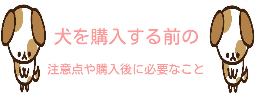 犬を購入する前の注意点や購入後に必要なこととは Lalala Flashu